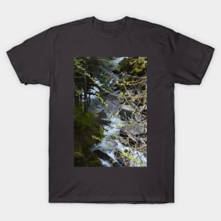 River Through a Tree T-Shirt